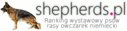 shepherds.pl - Ranking wystawowy ps�w rasy owczarek niemiecki